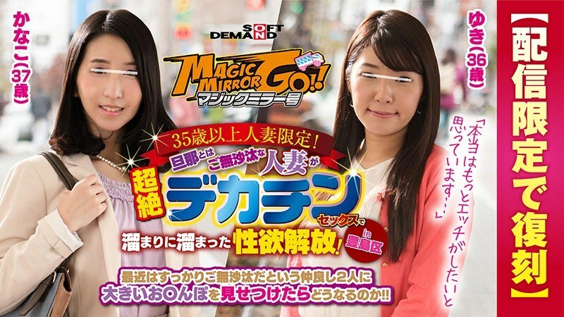 sdfk-028